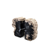 Enchanted Opia: Fossilized Petrified Wood Bookends