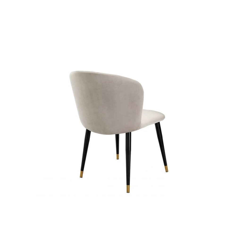 Velveteen Roche Dining Chair with Black and Gold Accents