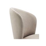 Velveteen Roche Dining Chair with Black and Gold Accents