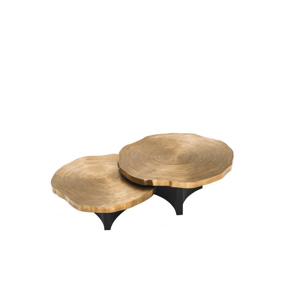 Thousand Oaks Brass and Black Finish Nesting Coffee Tables, Set of 2