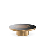 Concord Coffee Table with Tree Trunk Inlay and Brushed Brass Accent