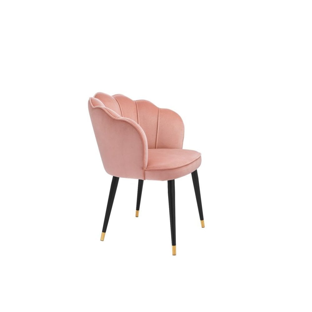 Bristol Dining Chair in Savona Nude Velvet with Black and Gold Accents