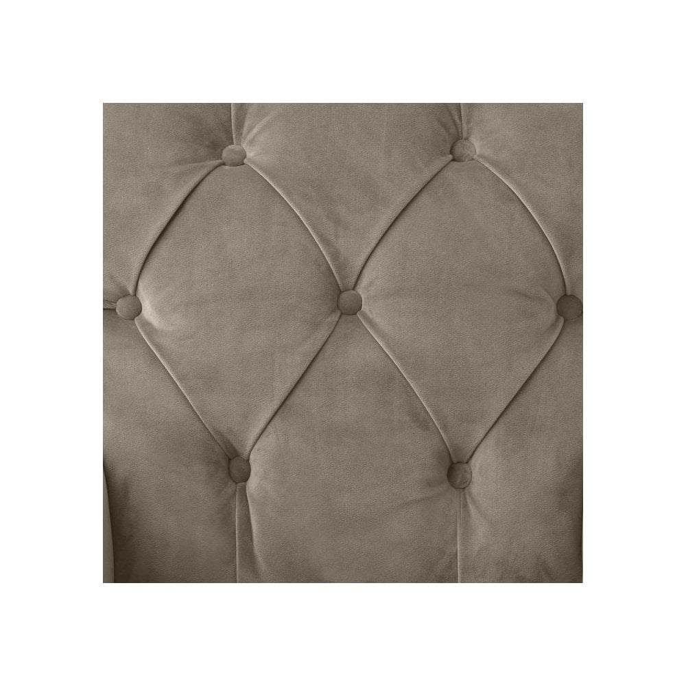 Atena Armchair in Savona Greige Velvet with Black Legs