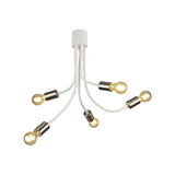 Adjustable 5-Light Ceiling Fixture in Satin White and Satin Nickel Finish