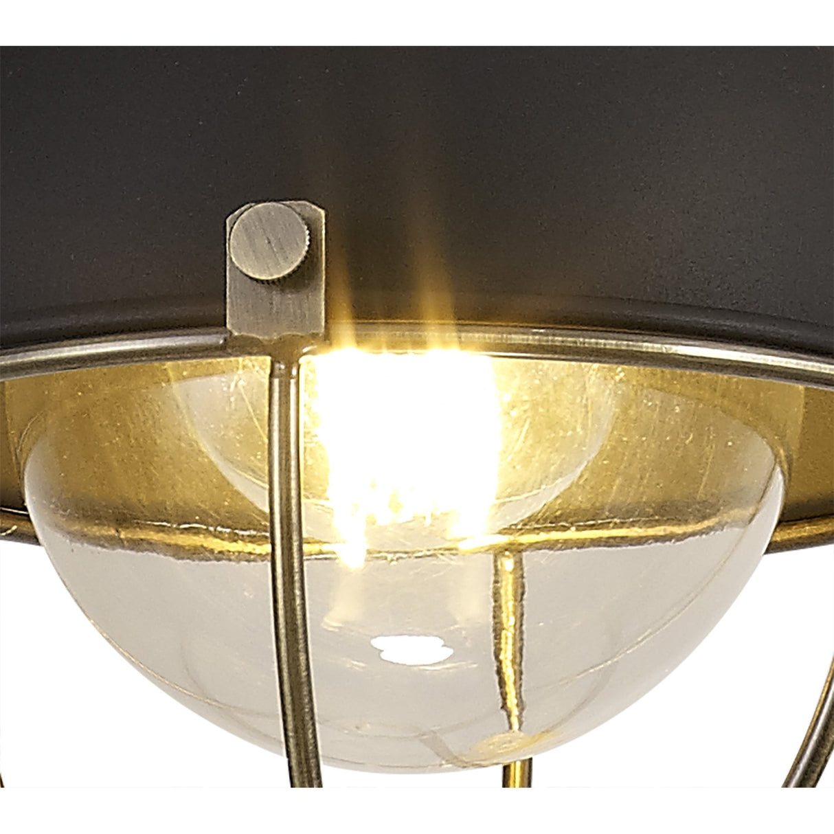 Elegant Outdoor Pendant Light with E27 Socket, IP65, Matt Black & Brushed Bronze Finish, 2-Year Warranty