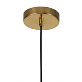 Elegant Brass Pendant Light with Clear Glass Shade