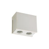 Dual Light Ceiling Fixture - Paintable White Gypsum with Matte Finish Cover
