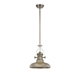 Smoked Glass 1-Light Pendant with Telescopic Polished Nickel Fixture
