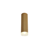 Elegant Champagne Gold Ceiling Spotlight with Acrylic Ring, 20cm, GU10 Compatible