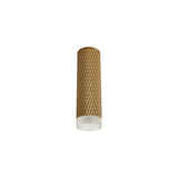 Elegant Champagne Gold Ceiling Spotlight with Acrylic Ring, 20cm, GU10 Compatible