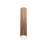 Elegant 30cm Rose Gold and Acrylic Ceiling Spotlight Fixture
