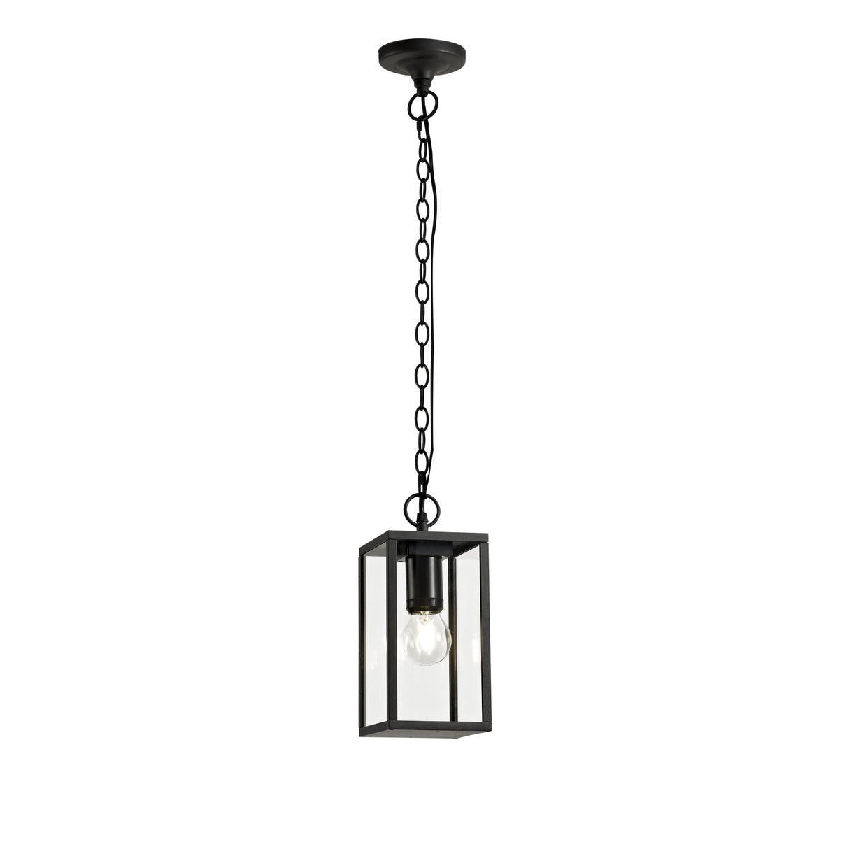Graphite Black Hanging Pendant Light with Clear Shade, E27, IP54, 2-Year Warranty