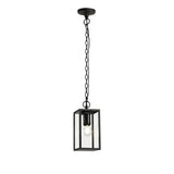 Graphite Black Hanging Pendant Light with Clear Shade, E27, IP54, 2-Year Warranty