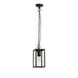 Graphite Black Hanging Pendant Light with Clear Shade, E27, IP54, 2-Year Warranty