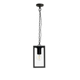 Graphite Black Hanging Pendant Light with Clear Shade, E27, IP54, 2-Year Warranty
