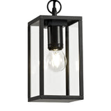 Graphite Black Hanging Pendant Light with Clear Shade, E27, IP54, 2-Year Warranty