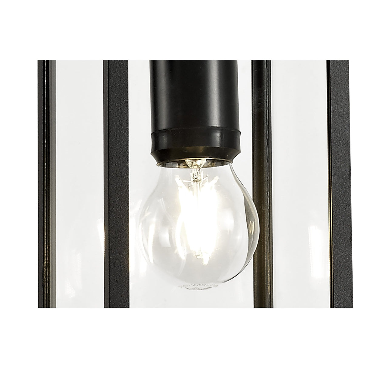 Graphite Black Hanging Pendant Light with Clear Shade, E27, IP54, 2-Year Warranty
