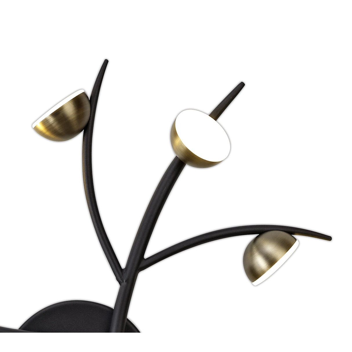 Contemporary 12-Light LED Fixture, 3W Each, 3000K Warm Glow, Black with Antique Brass Finish