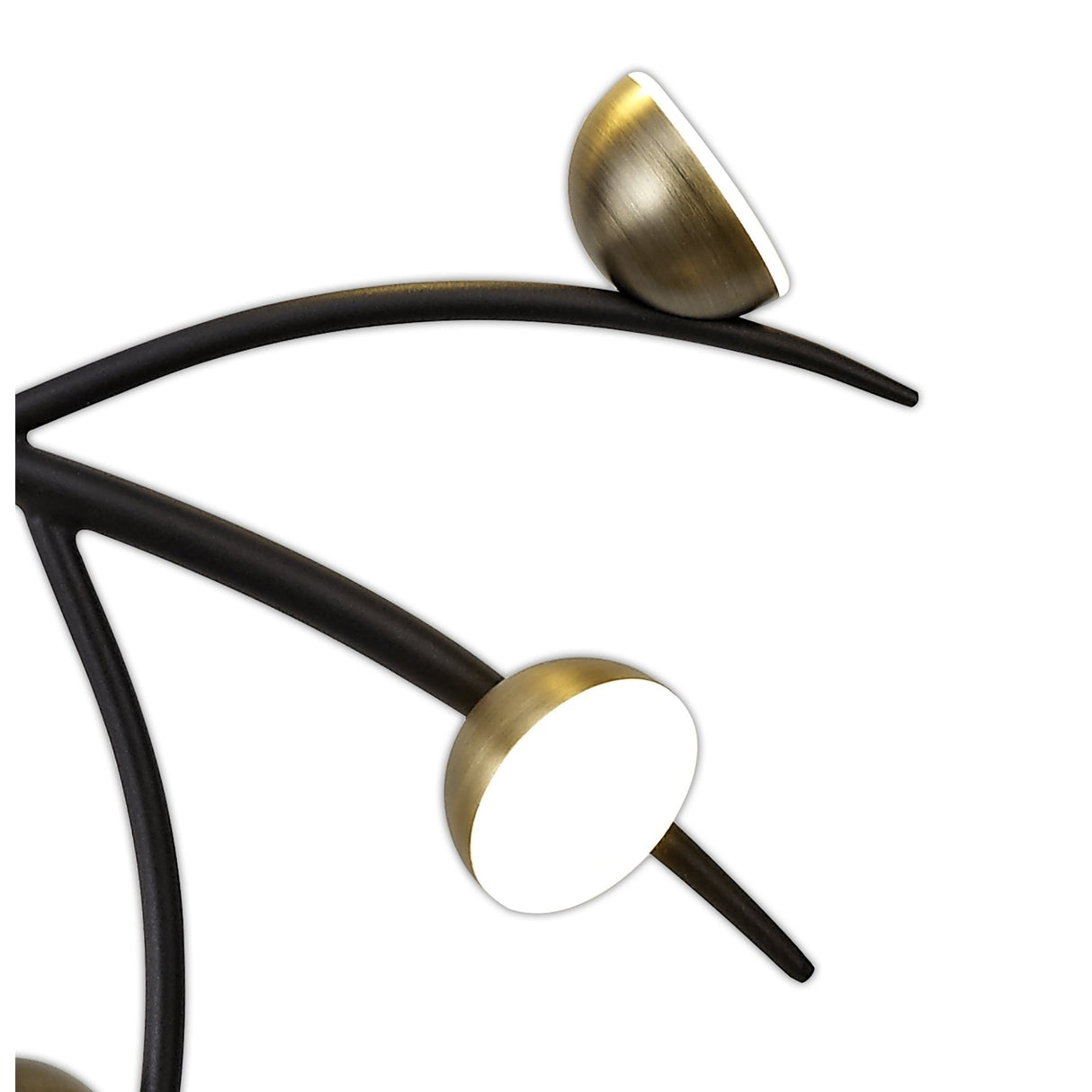 Contemporary 12-Light LED Fixture, 3W Each, 3000K Warm Glow, Black with Antique Brass Finish