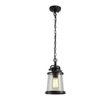 Elegant Black and Gold Pendant Light with Clear Seeded Glass Shade, Adjustable Drop Length