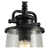 Elegant Black and Gold Pendant Light with Clear Seeded Glass Shade, Adjustable Drop Length