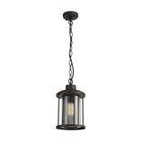 Antique Bronze & Clear Glass Pendant Light, E27, IP54, Adjustable Drop