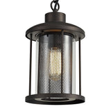 Antique Bronze & Clear Glass Pendant Light, E27, IP54, Adjustable Drop