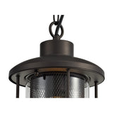 Antique Bronze & Clear Glass Pendant Light, E27, IP54, Adjustable Drop