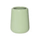 Moon 320ml Pale Green Tumbler