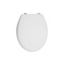 Matt White Toilet Seat