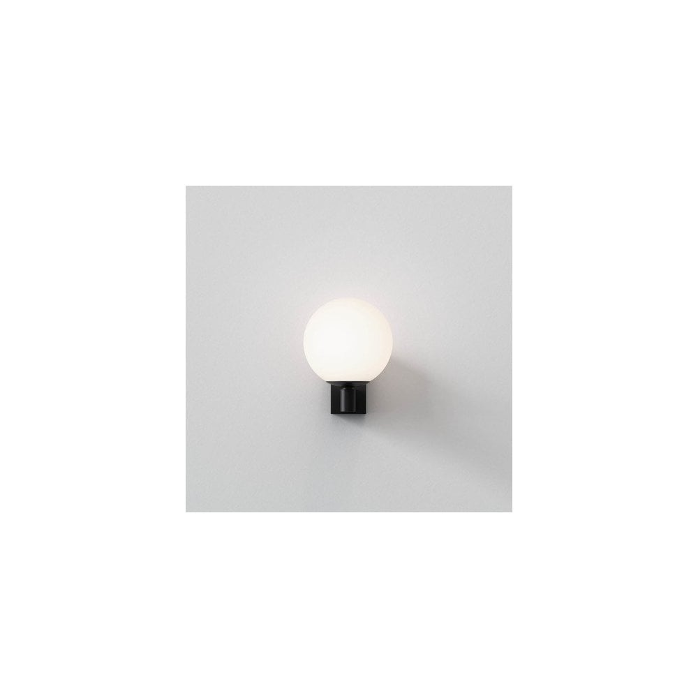 Matte Black Opal Globe Wall Sconce