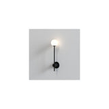 Matte Black Wall Sconce with Globe Shade, IP44
