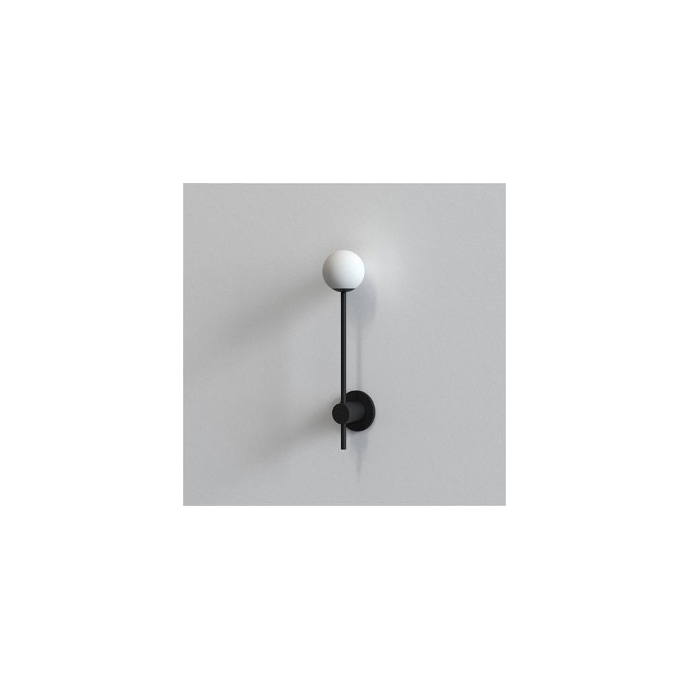 Matte Black Wall Sconce with Globe Shade, IP44