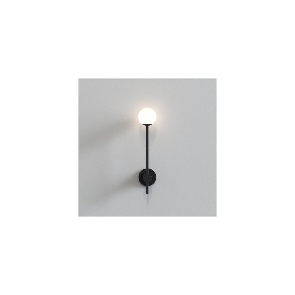 Matte Black Wall Sconce with Globe Shade, IP44