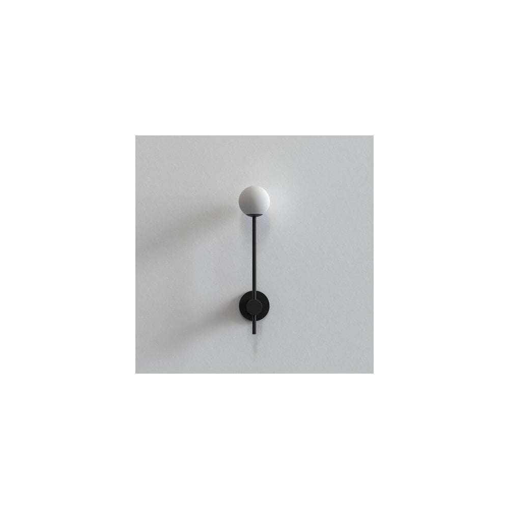 Matte Black Wall Sconce with Globe Shade, IP44