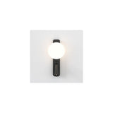 Sleek Zeppo Wall Light with Globe in Matte Black Finish
