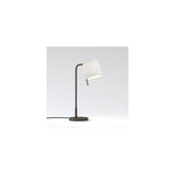Elegant Bronze Mitsu Table Lamp