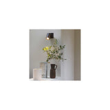 Ascoli Matte Black Adjustable Spotlight