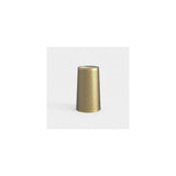 195mm Natural Brass Cone Lamp Shade with Diffuser
