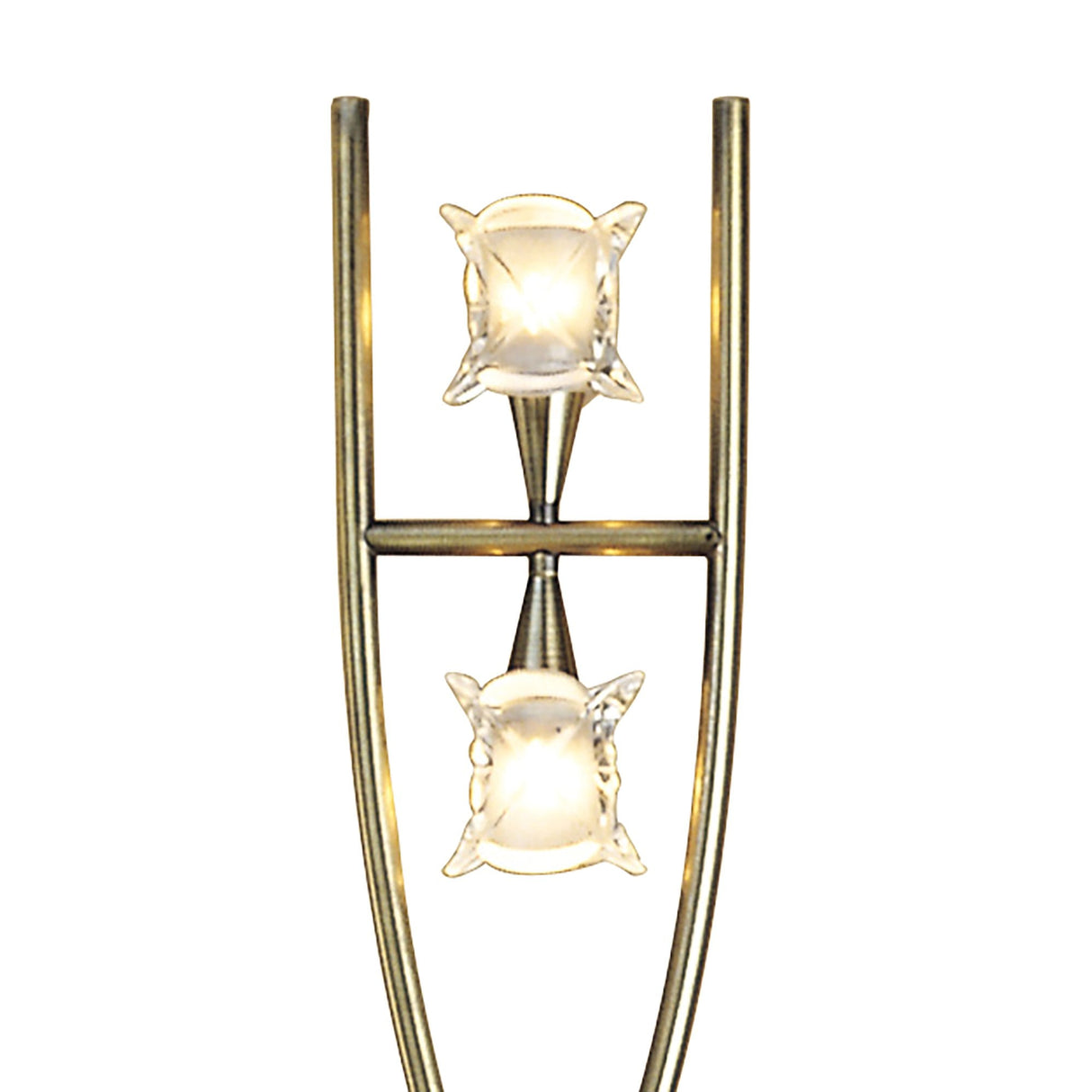 Rosa Del Desierto Antique Brass Floor Lamp with Dual G9 Lights