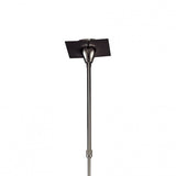 Flavia Telescopic Pendant Light: Convertible 4-Light Fixture in Black Chrome