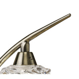 Eleganza Antique Brass Table Lamp with Clear Glass Shade