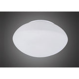 Illuminating Elegance: Frosted Opal Glass Ceiling/Wall Light in Polished Chrome