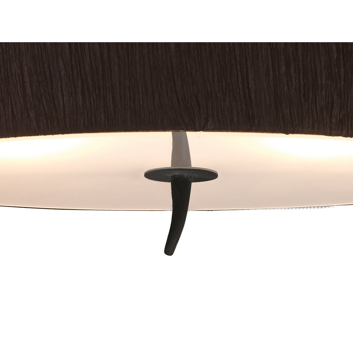 Eve Dual Light Semi-Flush Ceiling Fixture in Anthracite with Black Oval Shade