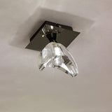 Santiago Sevillano Eclipse Ceiling Light in Black Chrome, Featuring High Quality K9 Crystal
