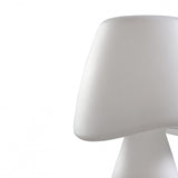 Elegant Dual-Light Opal Table Lamp with Inline Switch