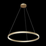 Elegant Brass Rim LED Pendant Light