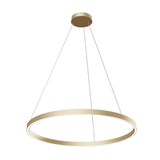 Elegant Brass Rim LED Pendant Light