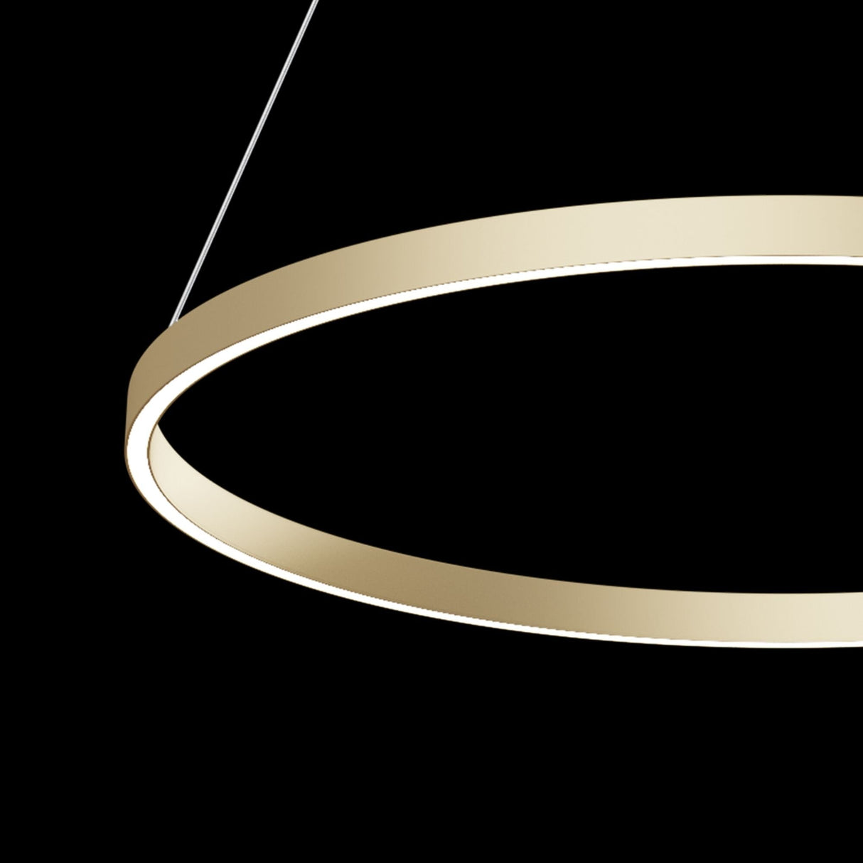 Elegant Brass Rim LED Pendant Light