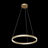 Brass Elegance Rim Pendant Light Fixture